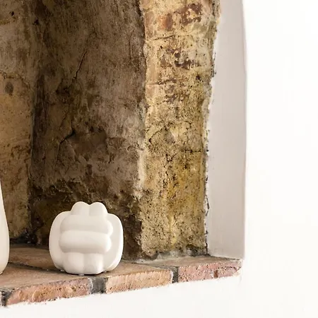Vii Coorte A Trastevere 아파트